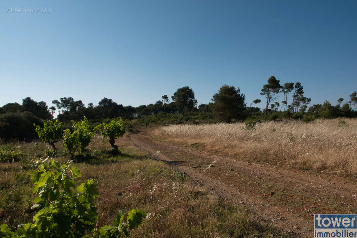 Terrain à FABREZAN