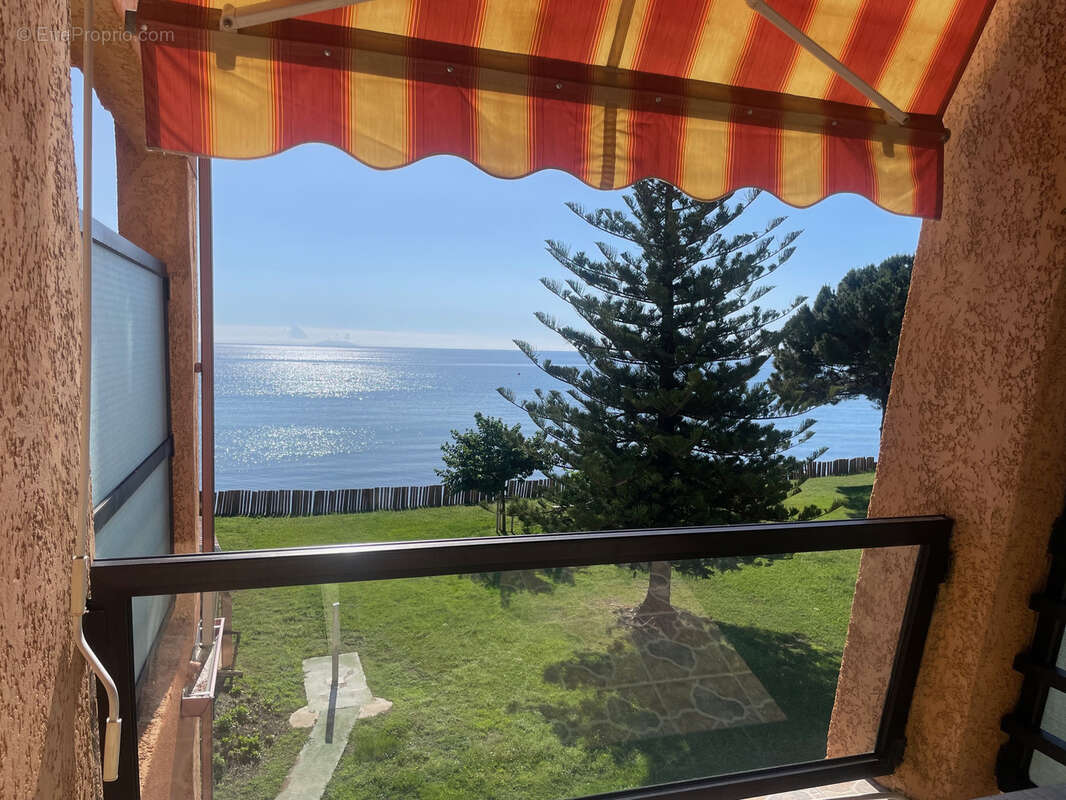 Superbe Studio avec Vue sur Mer à Santa-Lucia-di-Moriani avec Piscine vue mers - photo 4