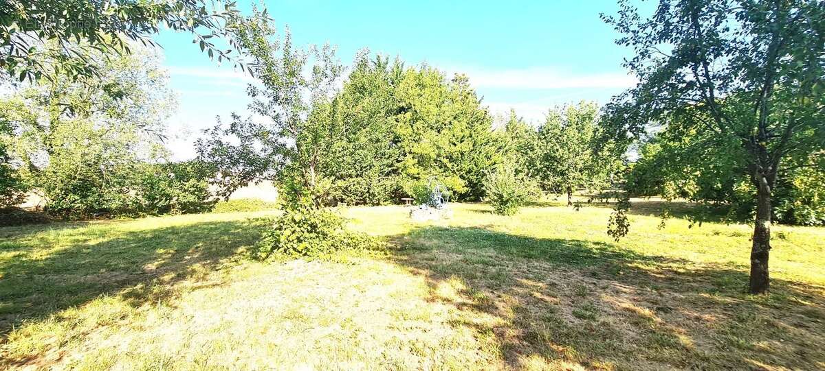 Maison plain-pied et grand jardin arboré - photo 19