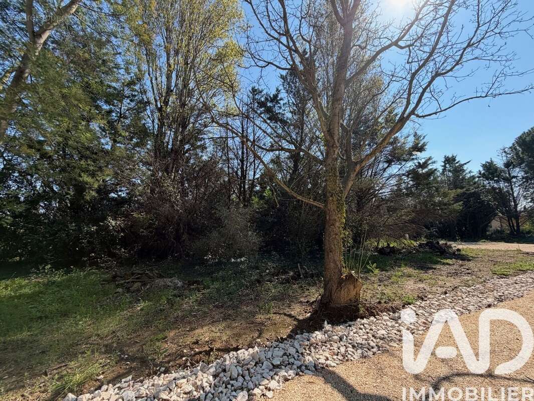 Photo 2 - Terrain à SAINT-QUENTIN-LA-POTERIE