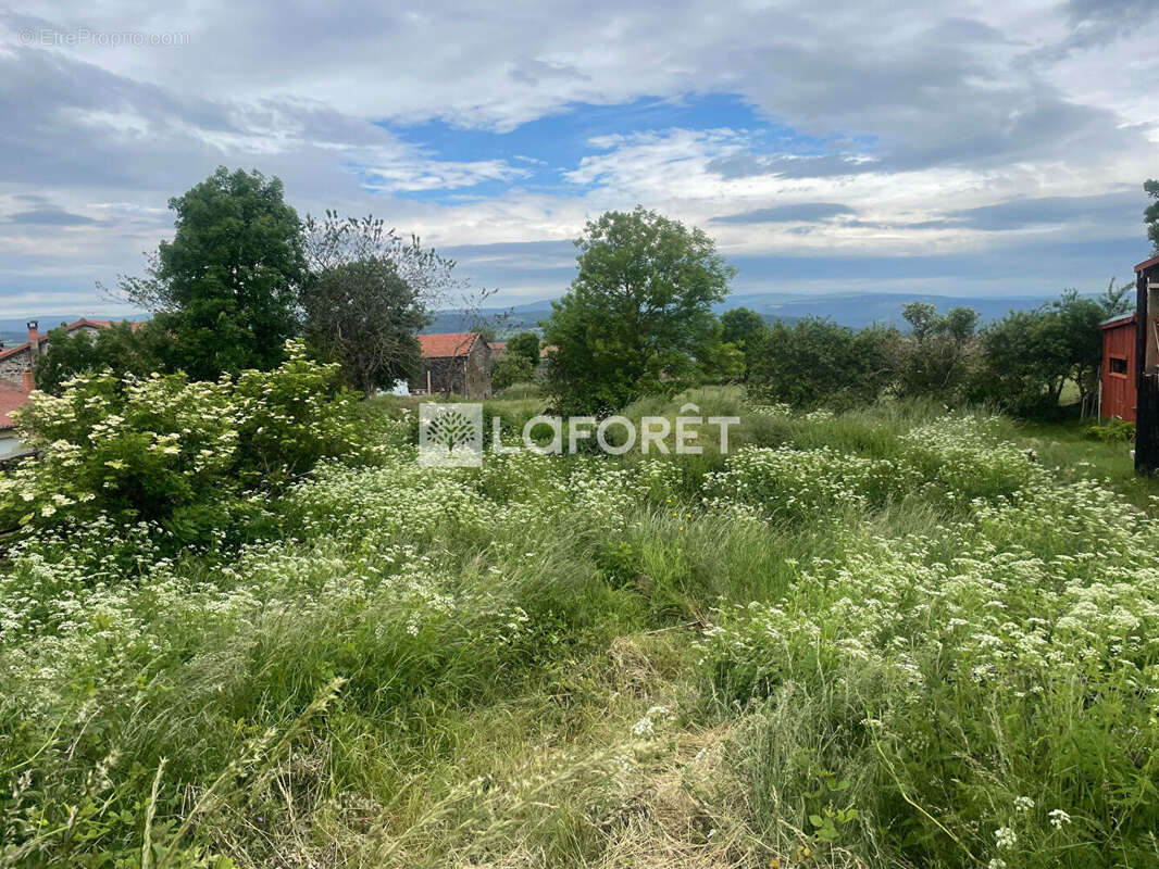 Maison à SIAUGUES-SAINTE-MARIE