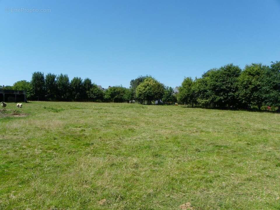 Terrain 600 m² à Bois-L'eveque  - photo 4