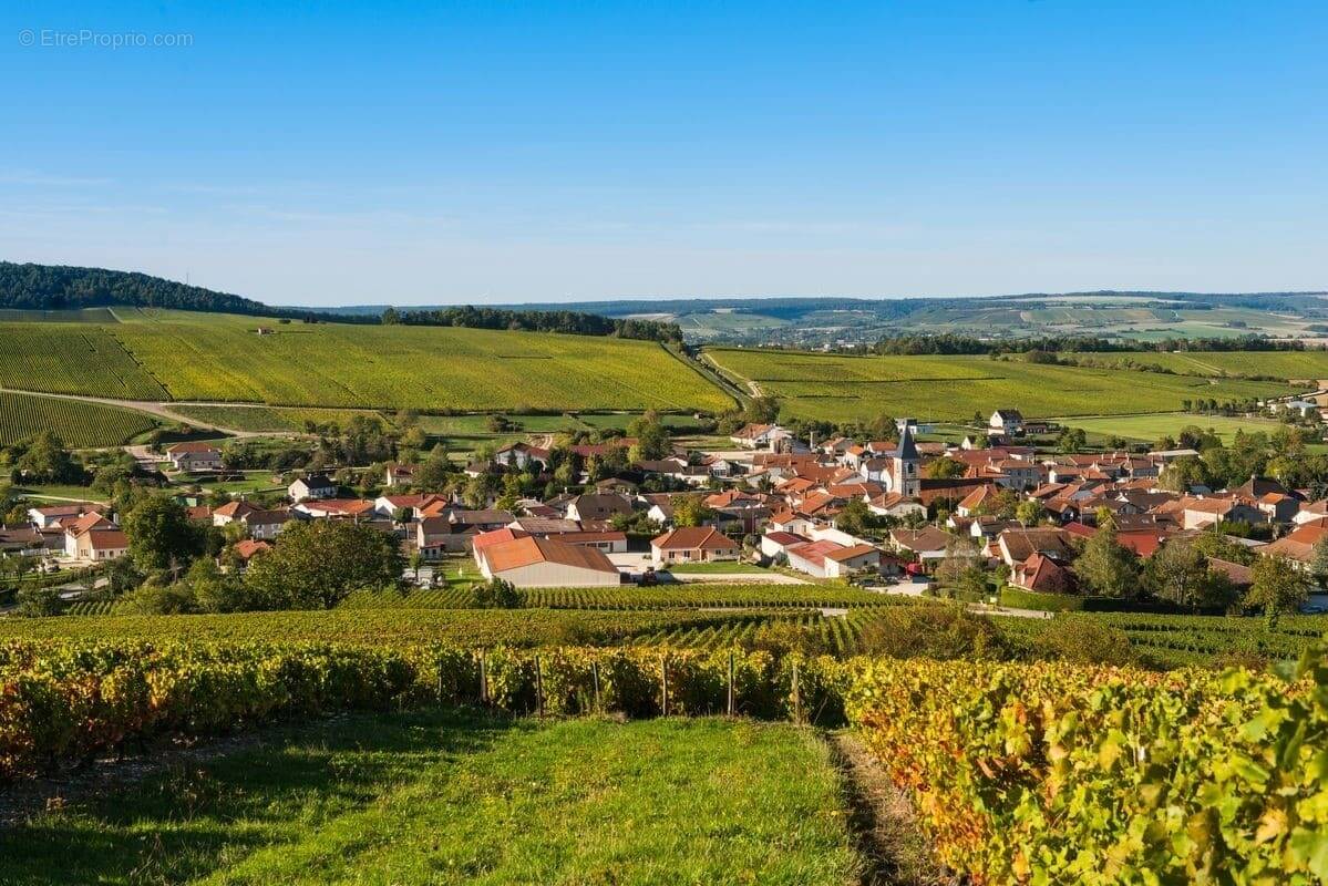 Terrain à LA ROCHE-SUR-YON