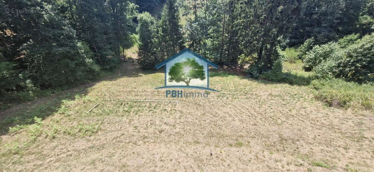 MEISENTHAL (57) - Maison 181m² sur un terrain de 14,94 ares - photo 18
