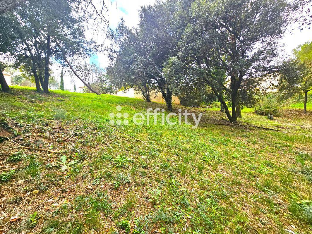 Terrain à SAINT-CLEMENT-DE-RIVIERE