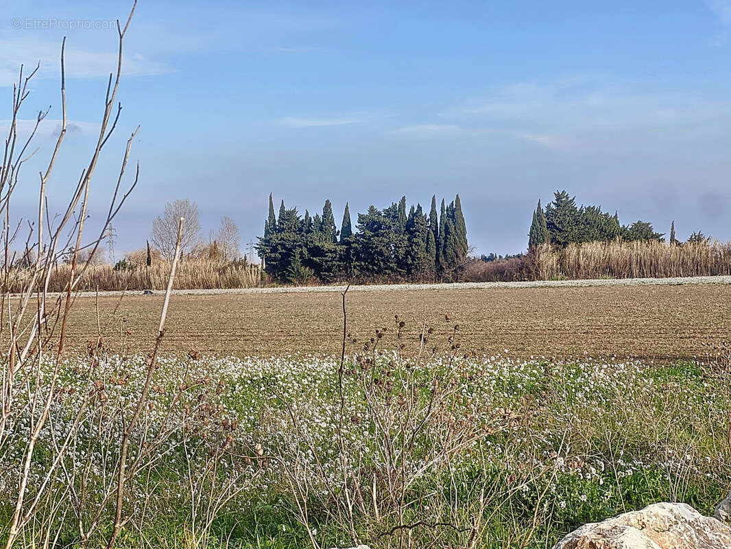Terrain à SAINT-HIPPOLYTE