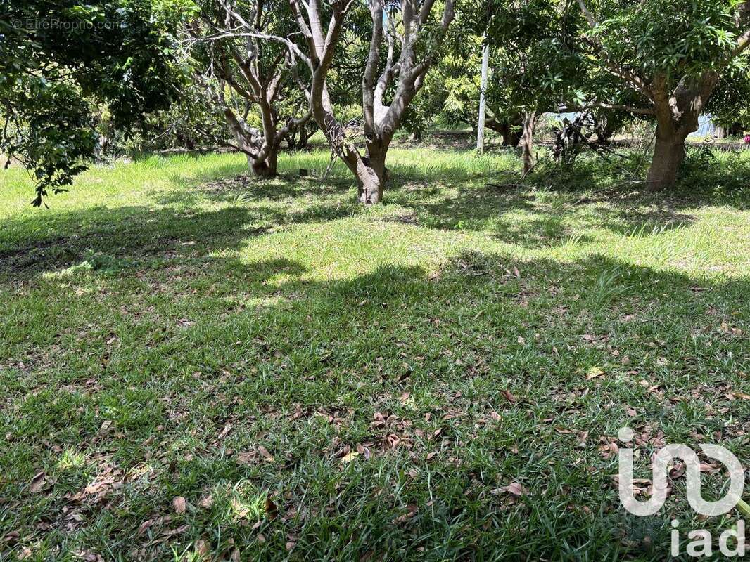 Photo 9 - Terrain à SAINT-PIERRE