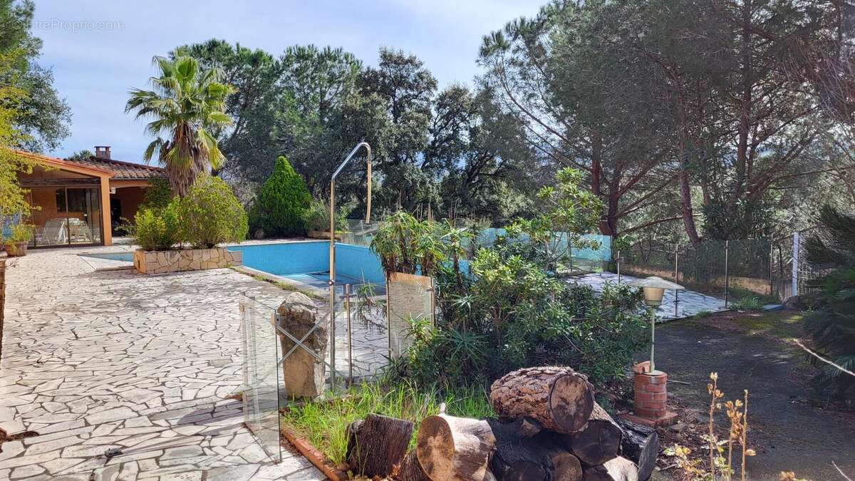 Photo 3 - Maison à SAINT-JEAN-PLA-DE-CORTS