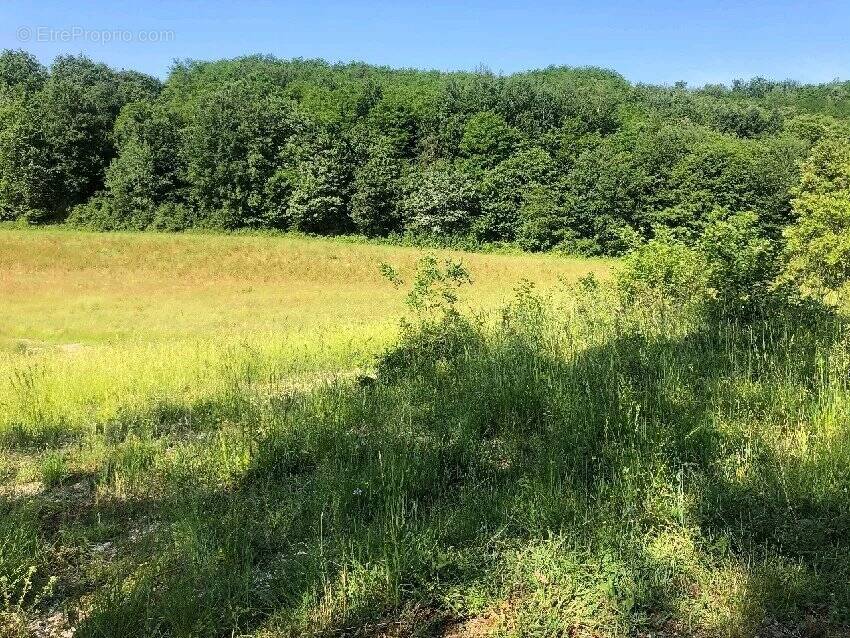 Terrain à TRELISSAC