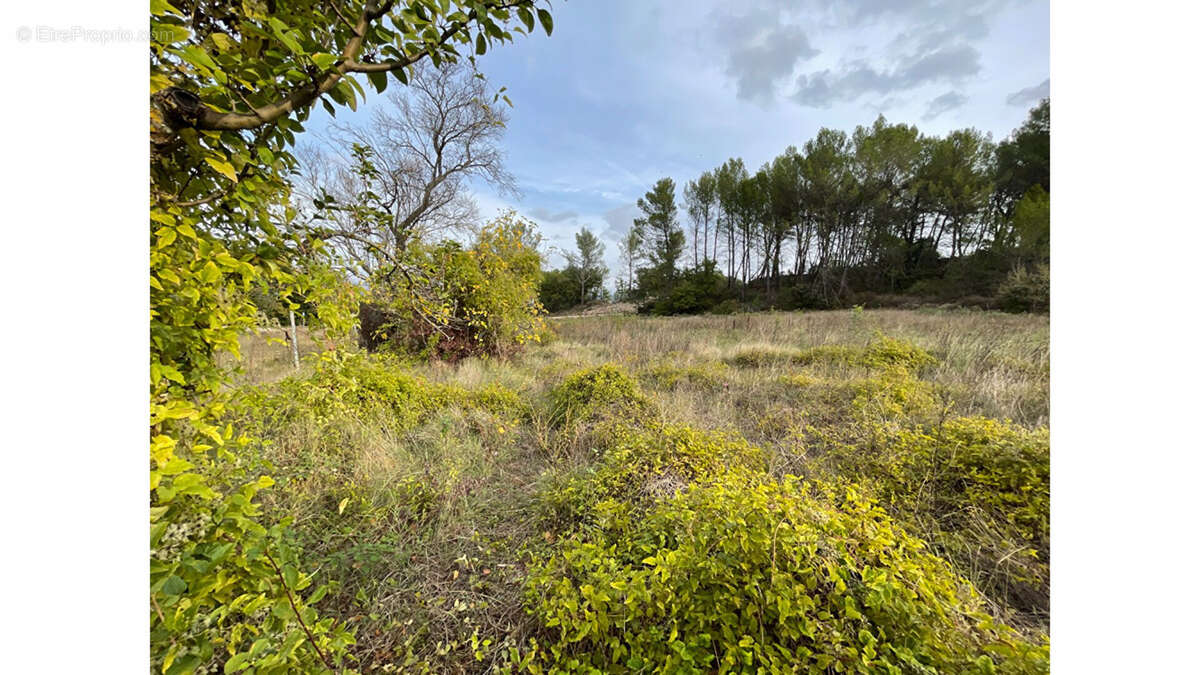 Terrain à PEYNIER