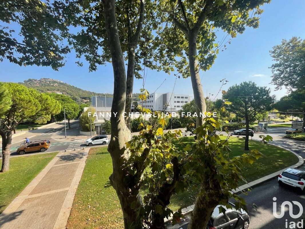 Photo 7 - Commerce à SIX-FOURS-LES-PLAGES