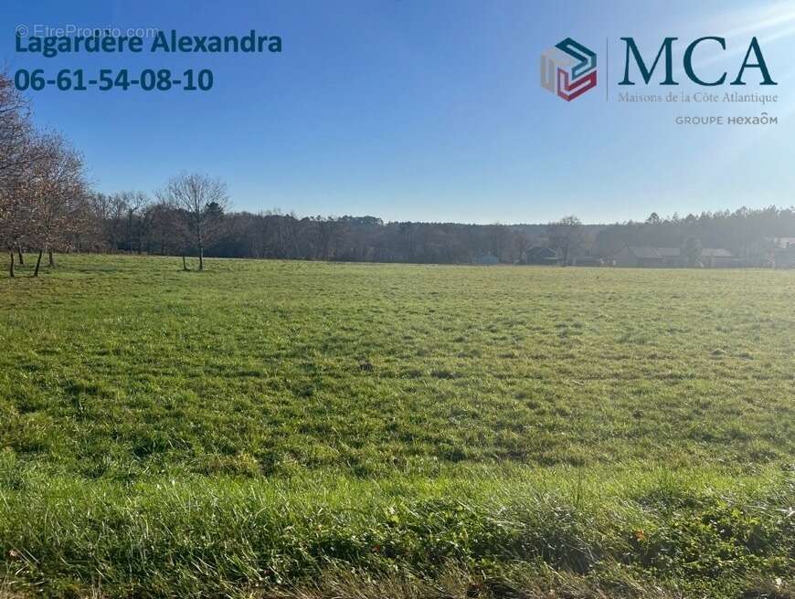 Terrain à CASTELJALOUX