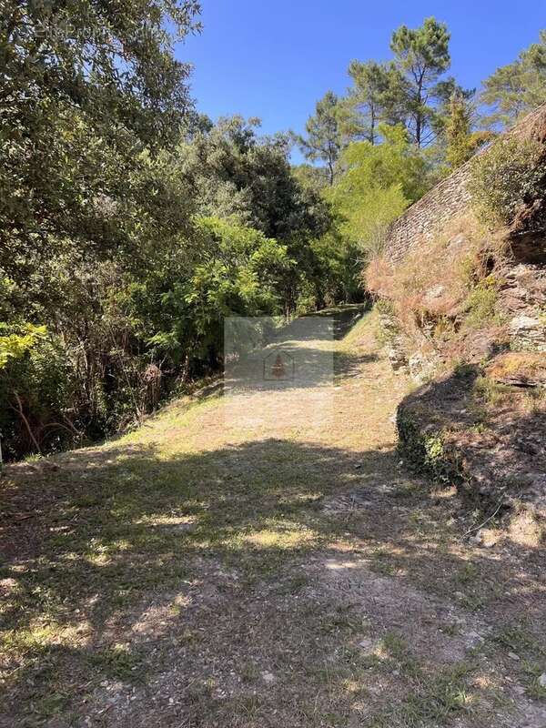 Maison à LE COLLET-DE-DEZE