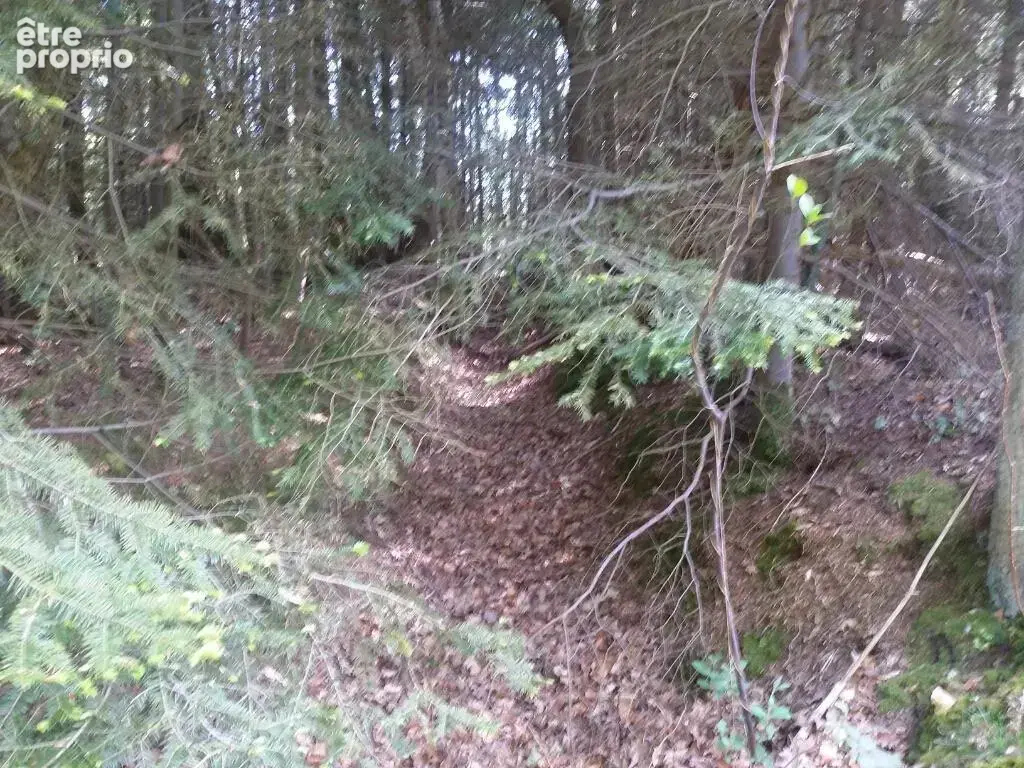 Terrain 3994 m² à La Folletiere-Abenon  - photo 4