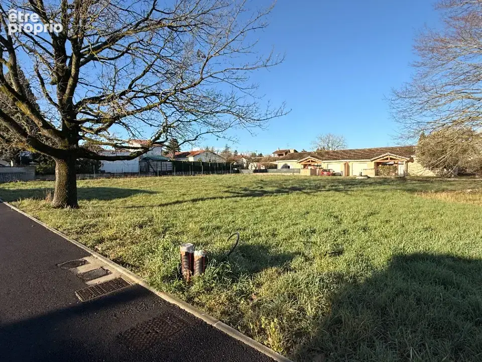 Terrain 1 300 m² à vendre à Revel (31250) - photo 4