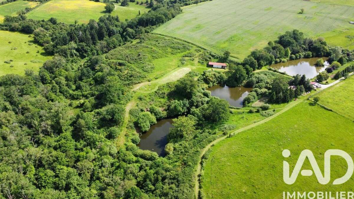 Photo 4 - Terrain à NERIS-LES-BAINS