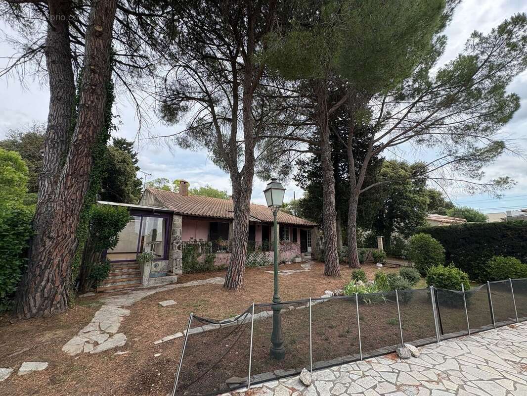 Maison à SUSSARGUES