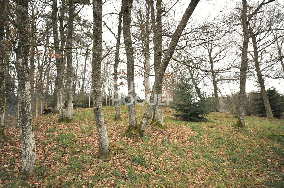 Maison à SAINT-MARTIN-EN-HAUT
