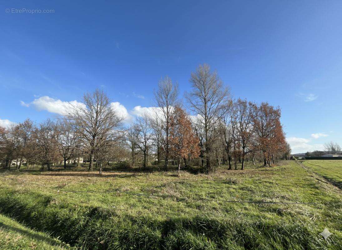 Terrain à SAINT-NAUPHARY