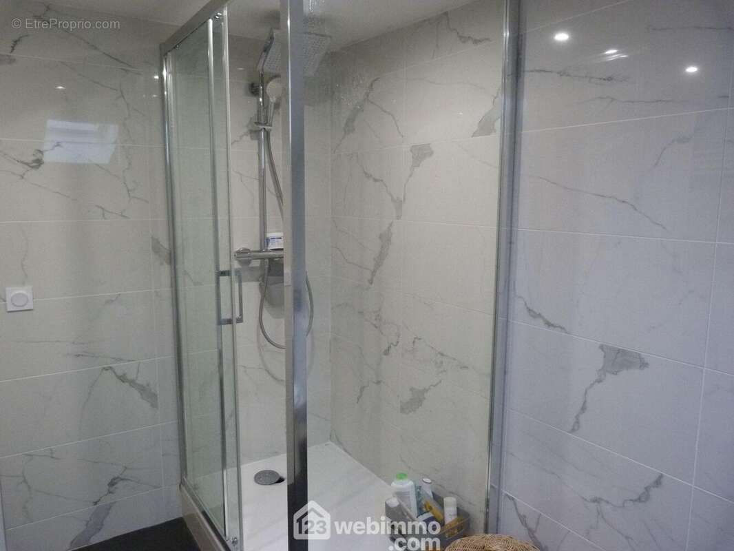 ...Avec grande douche - Maison à SAINT-MARTIN-D'HERES