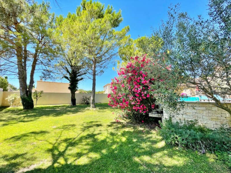 Maison à ALTHEN-DES-PALUDS