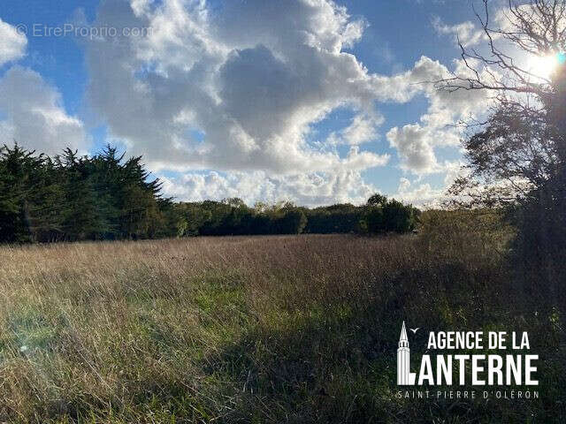 Terrain 4641 m² à Saint-Pierre-D'oleron  - photo 2