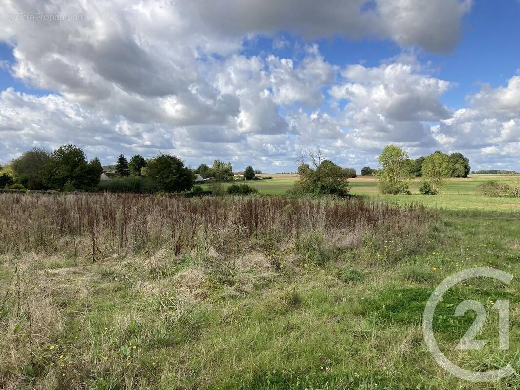 Terrain à VIEUX-CHAMPAGNE