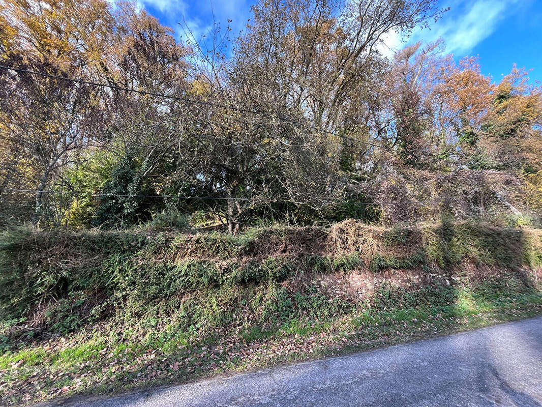 Terrain à SAINT-EPAIN