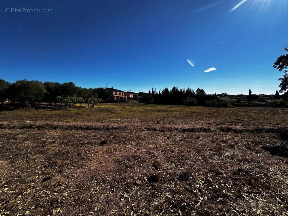 Terrain à PUGET-SUR-ARGENS