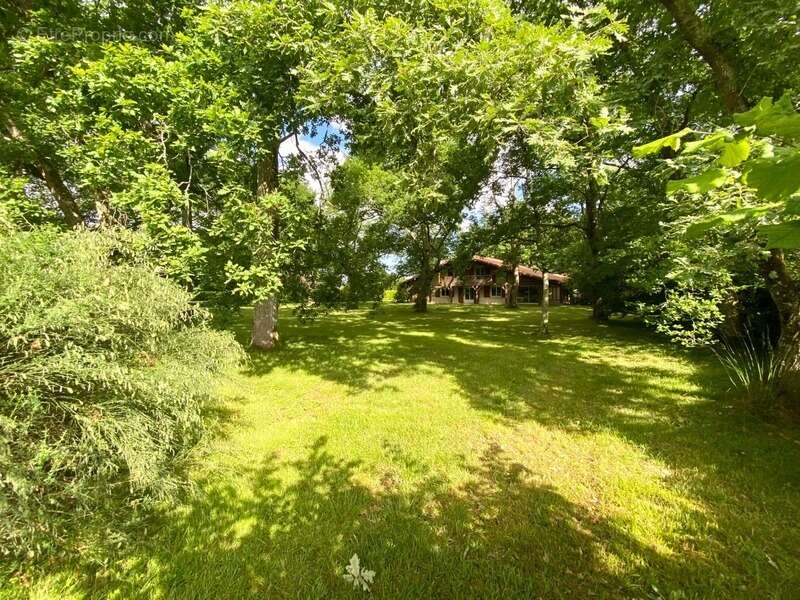 Maison à SAINT-PIERRE-DU-MONT