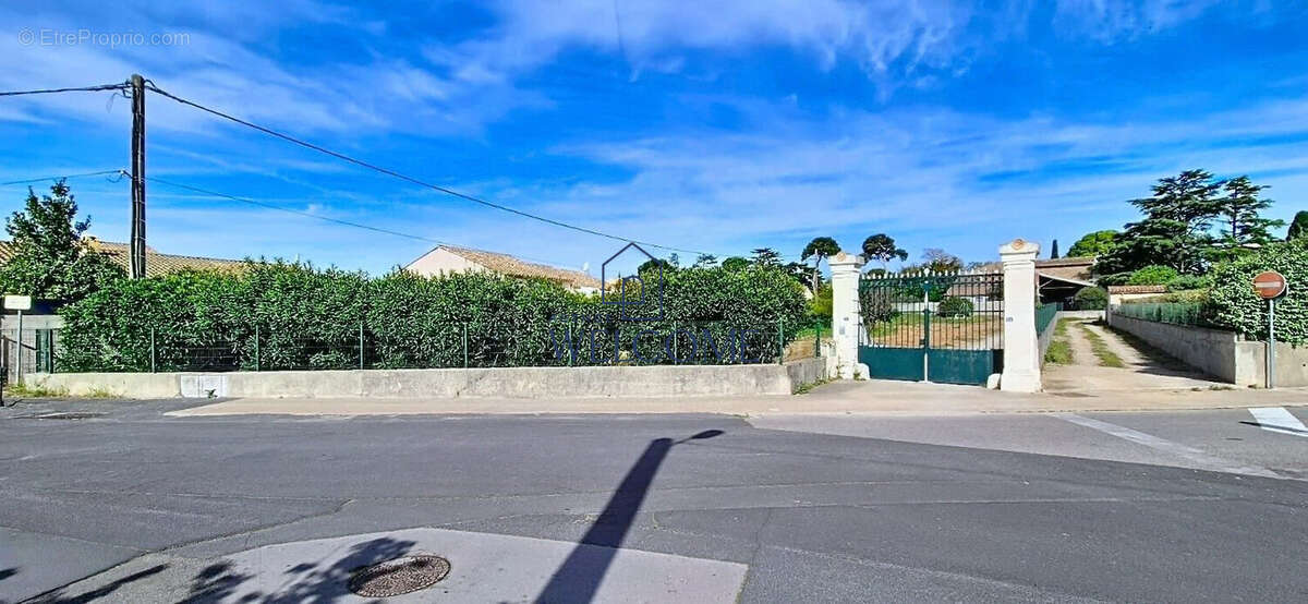 Terrain à SAINT-ANDRE-DE-SANGONIS