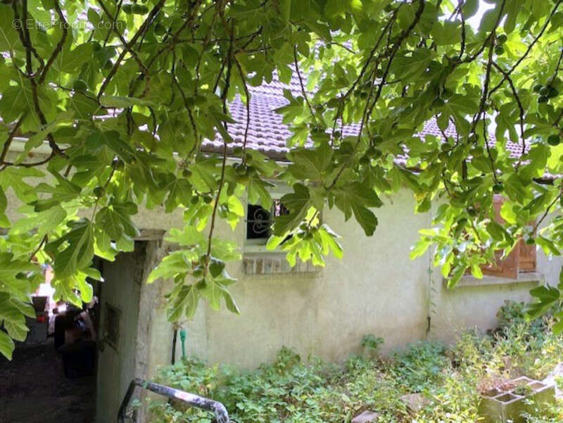 Maison 49 m² à Pont-Sur-Yonne  - photo 3