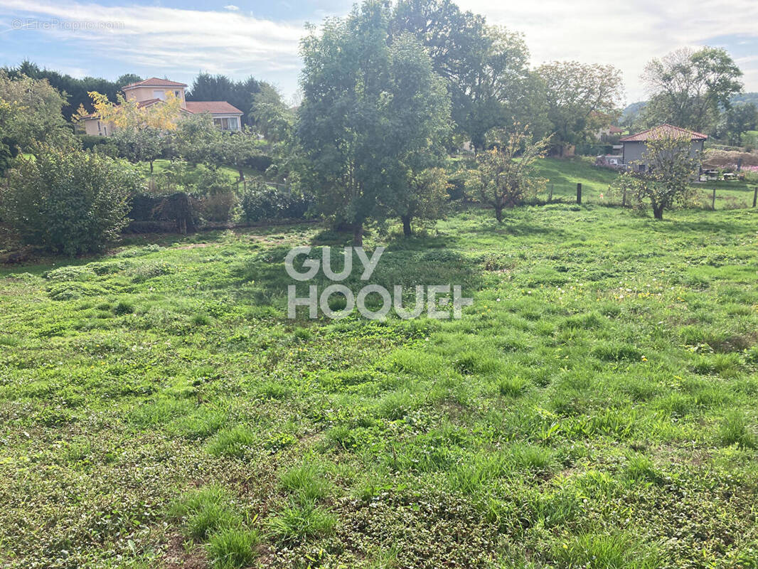 Terrain à SAINT-MARTIN-LESTRA