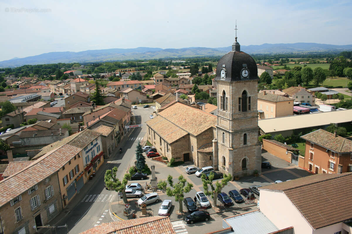 Terrain à SAINT-DIDIER-SUR-CHALARONNE
