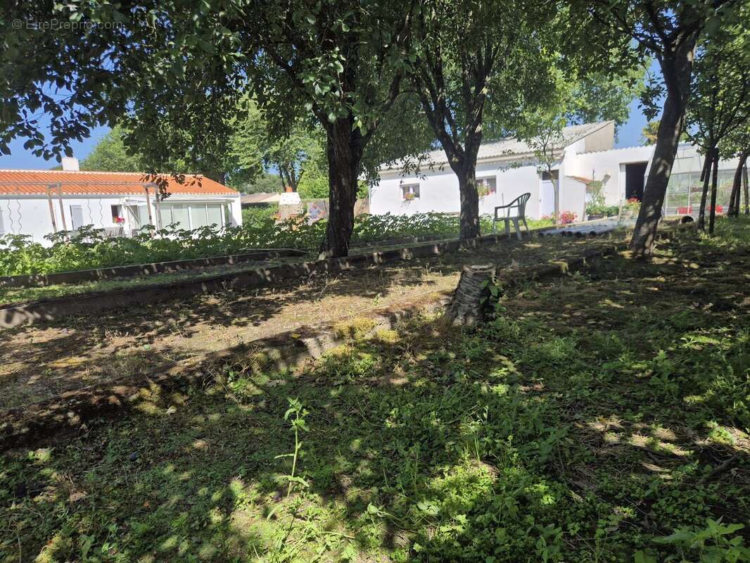 Terrain à SAINTE-FOY