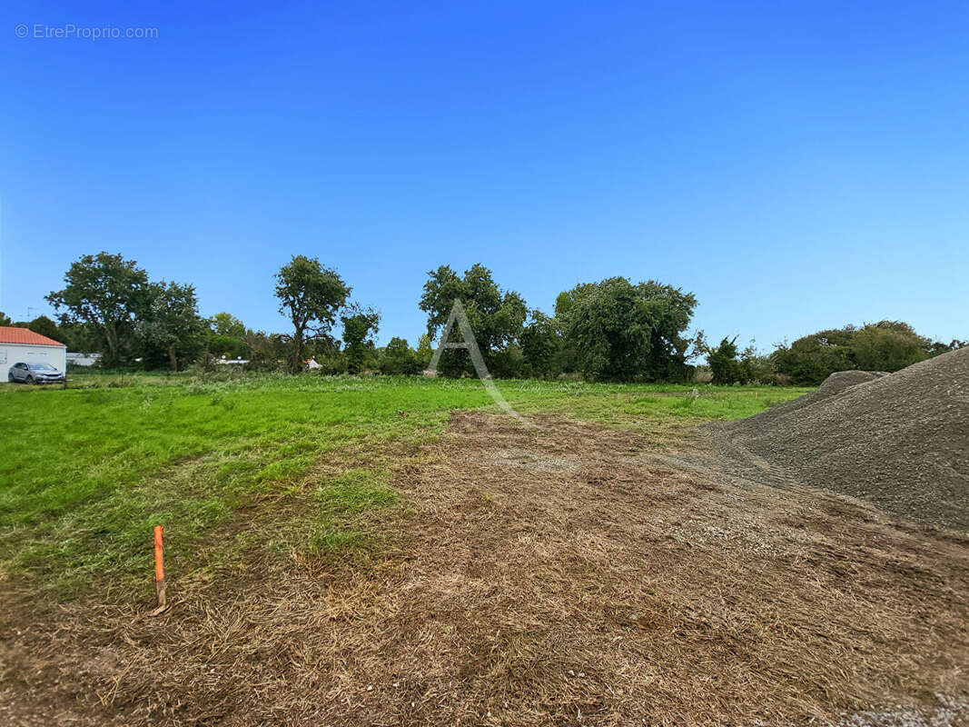Terrain à NOTRE-DAME-DE-MONTS