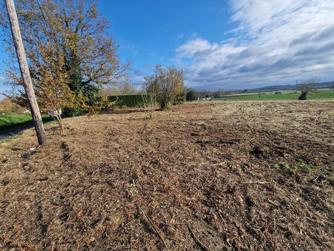 Terrain à SAINT-CIERS-DU-TAILLON