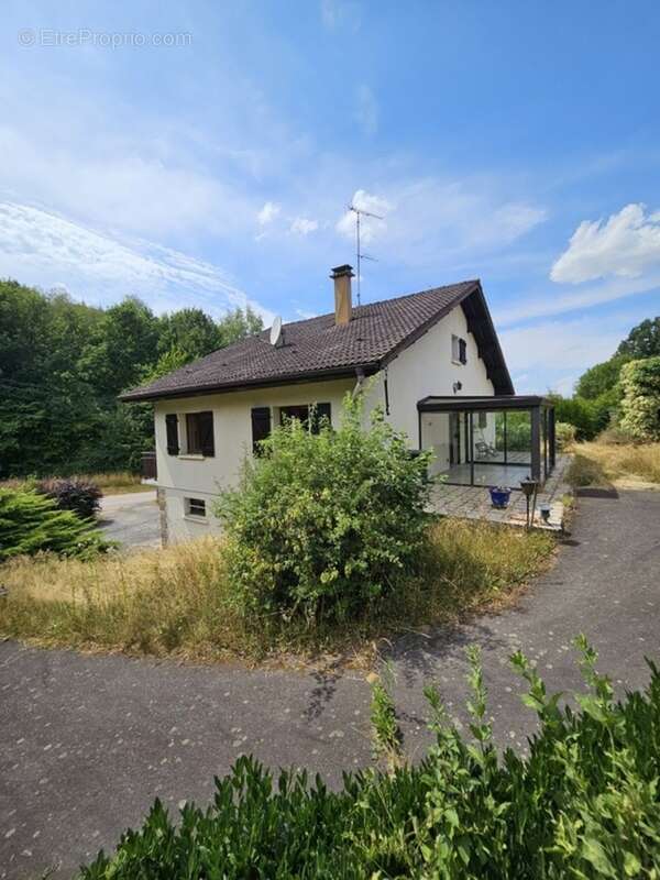 Maison à vendre 7 pièces DEYVILLERS (88), de 164m² - photo 3