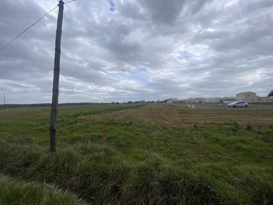 Terrain à VILLEDOUX