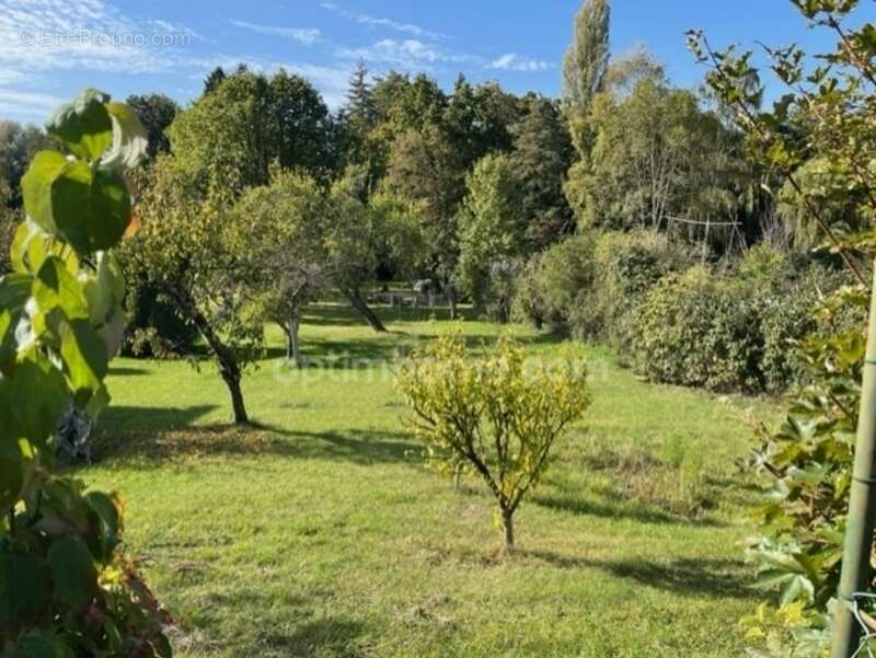 Terrain à SAINT-CYR-SOUS-DOURDAN