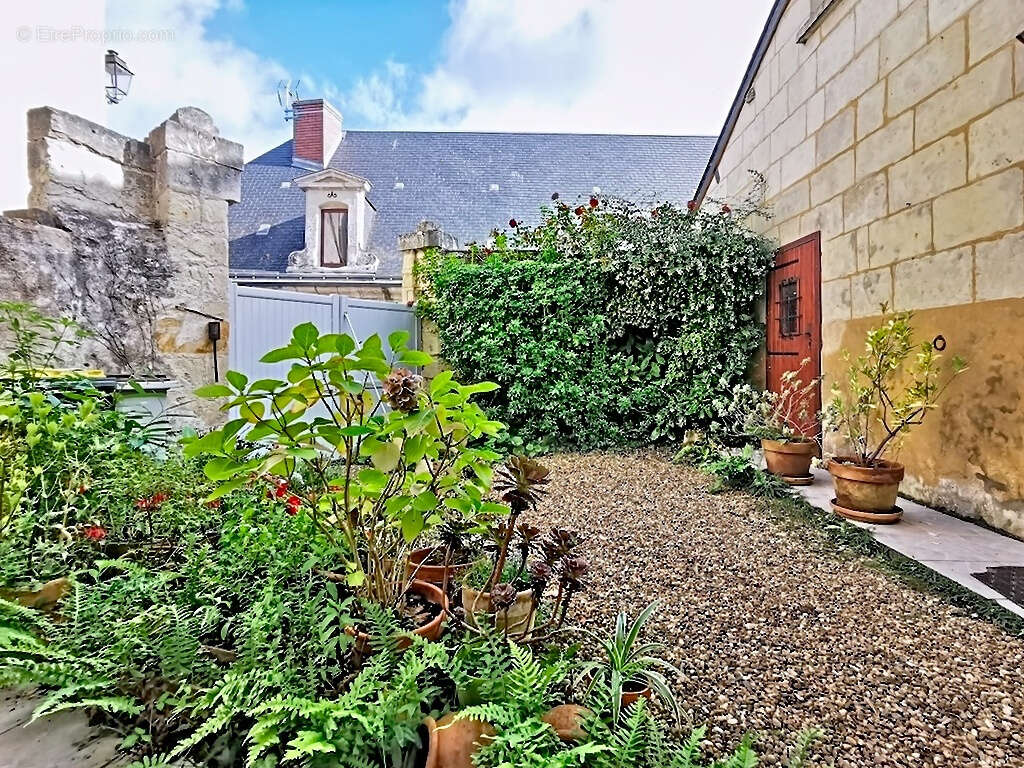 Maison à SOUZAY-CHAMPIGNY