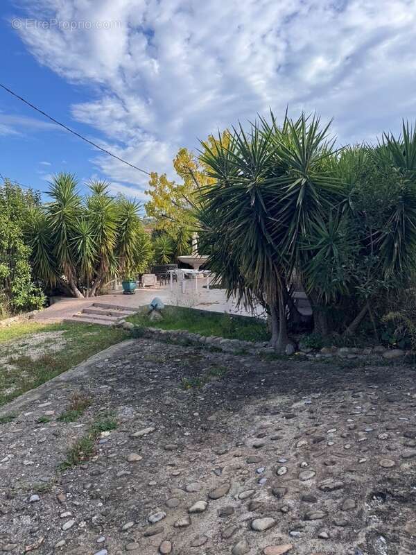 Terrain à SAINT-MITRE-LES-REMPARTS