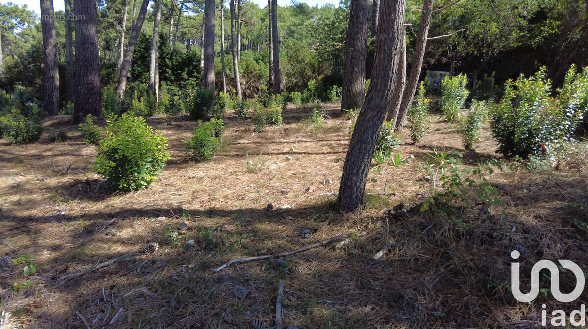 Photo 3 - Terrain à LEGE-CAP-FERRET