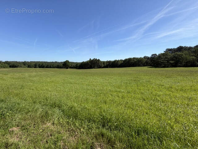 Maison avec fort potentiel - photo 13