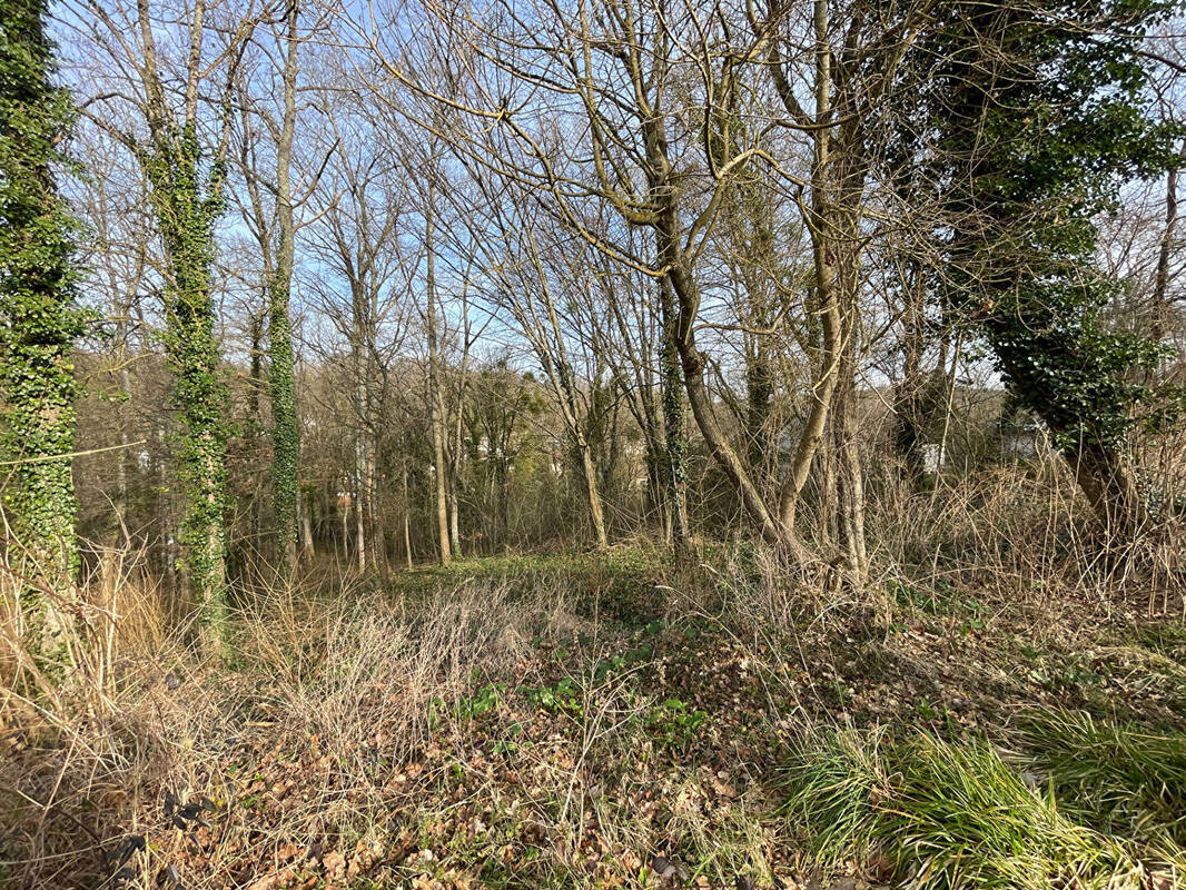 Terrain à FONTAINE-LE-PORT
