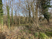 Terrain à FONTAINE-LE-PORT