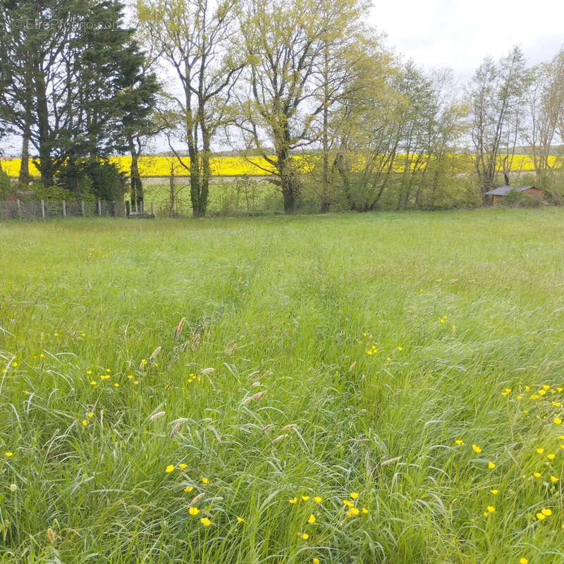 Terrain à TRIZAY-LES-BONNEVAL