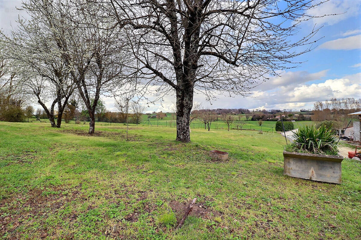 Maison à AUBETERRE-SUR-DRONNE