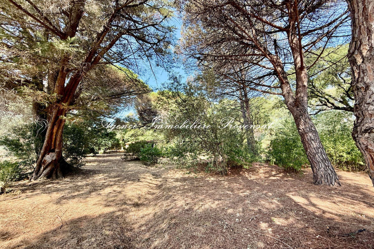 Terrain 2392 m² à Sainte-Maxime  - photo 5
