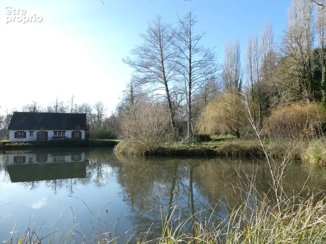 Maison sur propriété de 2ha avec étangs - photo 12